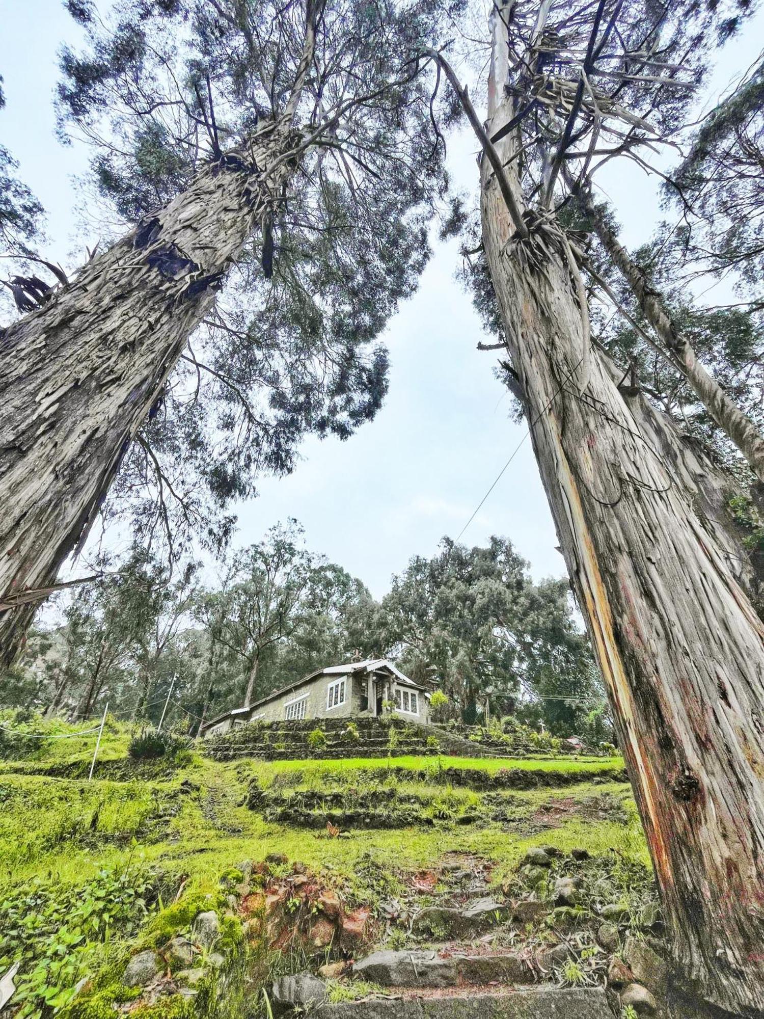 Springdale Villa Kodaikanal Kültér fotó
