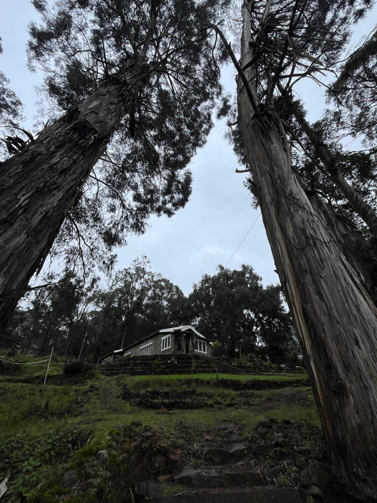 Springdale Villa Kodaikanal Kültér fotó